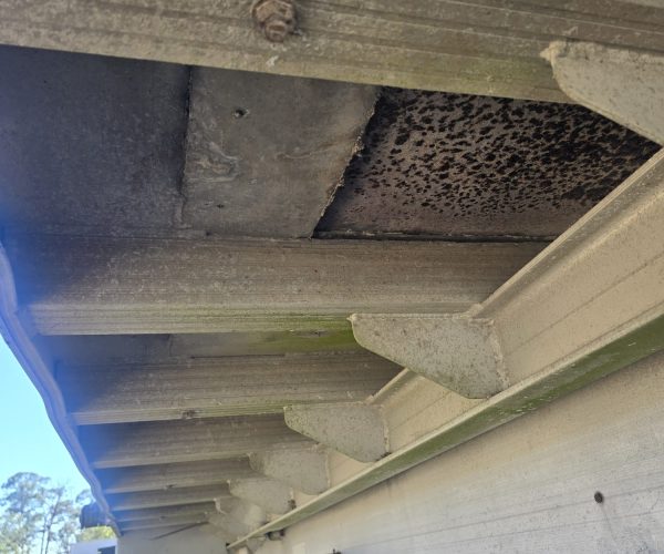 1979 FAST ALUMINUM DUMP TRAILER TANDEM 008