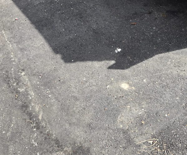 1993 MACK CH DAY CAB TANDEM W ALUMINUM DUMP TRAILER 029