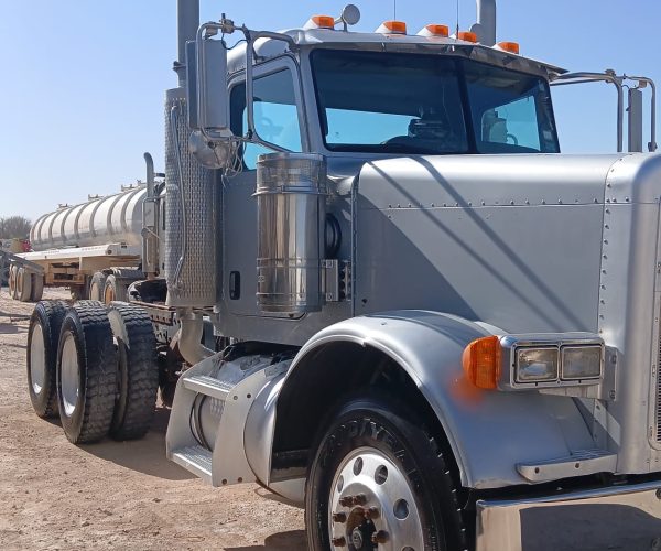 2006 PETERBILT DAY CAB DAY CAB TANDEM 004