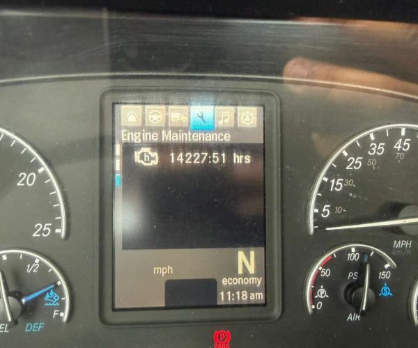 2019 FREIGHTLINER CASCADIA 126 012