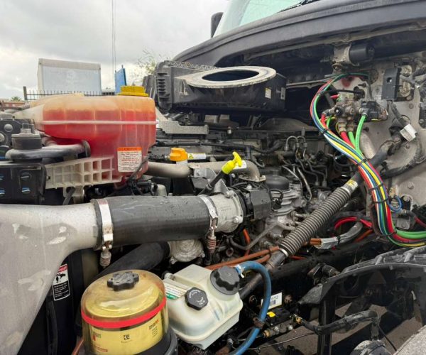 2019 FREIGHTLINER CASCADIA 126 013