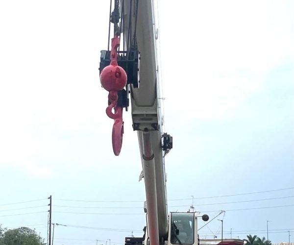 2019 LINK-BELT RTC-8090 SERIES II 90 US TON RT CRANE 003